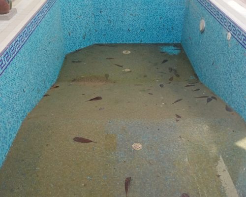 water extraction services - raw sewage cleanup